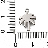 304 Stainless Steel Charms STAS-C119-26P-3