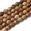 Natural Picture Jasper Beads Strands G-K376-F10-01-2