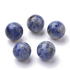 Natural Blue Spot Jasper Beads G-S288-01-12mm-2