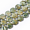 Drawbench Freshwater Shell Beads Strands X-SHEL-T014-013E-1