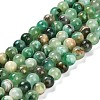 Natural Green Line Jasper  Beads Strands X-G-B128-A03-02-1