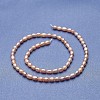 Natural Cultured Freshwater Pearl Beads Strands PEAR-P060-06A-2