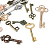 Tibetan Style Alloy Pendants FIND-D040-01-2