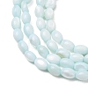 Dyed Natural Freshwater Shell Beads Strands SH-CBA2978-06C-2