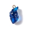 Transparent Resin Pendants RESI-E028-01G-05-2