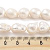 Natural Cultured Freshwater Pearl Beads Strands PEAR-P062-31C-5