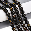 Natural Gemstone Beads Strands G-T141-18B-2