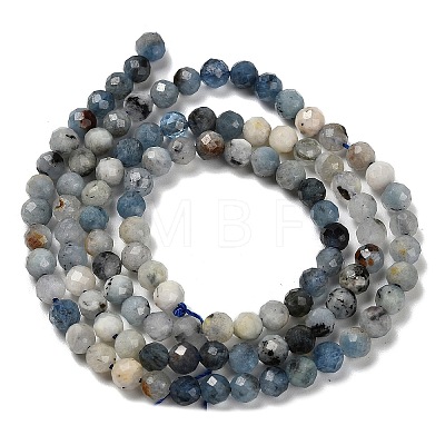 Natural Aquamarine Beads Strands G-H321-A02-02-1