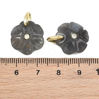 Natural Labradorite Pendants GG-NH0016-01G-09-1