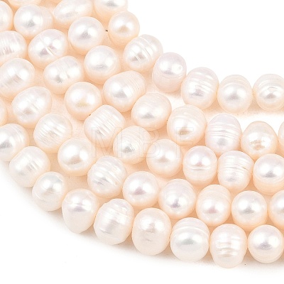 Natural Cultured Freshwater Pearl Beads Strands PEAR-D003-01C-03-1