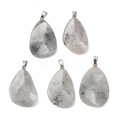 Natural Labradorite Pendants GG-K002-05B-1