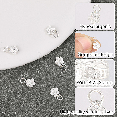5Pcs 925 Sterling Silver Charms STER-BBC0009-44B-1