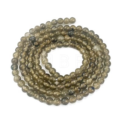 Natural Labradorite Beads Strands G-M438-A01-01-1