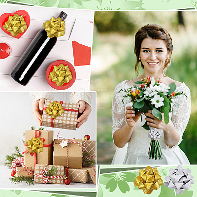 20Pcs 2 Colors Plastic Glitter Powder Flower Ball for Party Wedding Home Outdoor Decoration AJEW-FG0005-69-1