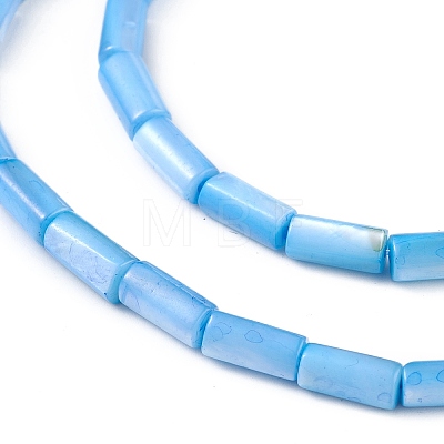 Natural Freshwater Shell Dyed Beads Strands X-SHEL-M018-11-06-1