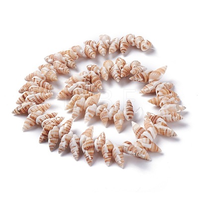Natural Spiral Shell Beads Strands BSHE-I016-08-1
