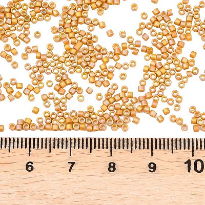 MIYUKI Delica Beads SEED-X0054-DB2303-1