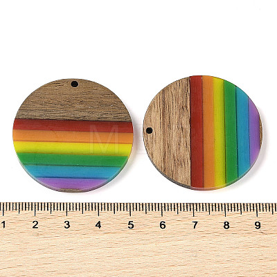 Pride Rainbow Theme Resin & Walnut Wood Pendants WOOD-K012-07B-1