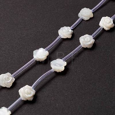 Natural Trochid Shell/Trochus Shell Beads Strands SSHEL-O001-21A-1