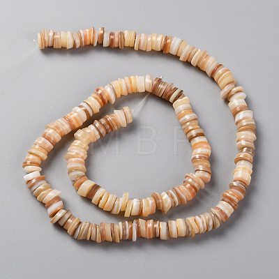 Natural Freshwater Shell Beads Strands SHEL-C001-06-1