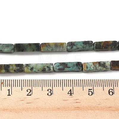 Natural African Turquoise(Jasper) Beads Strands G-G837-02-1
