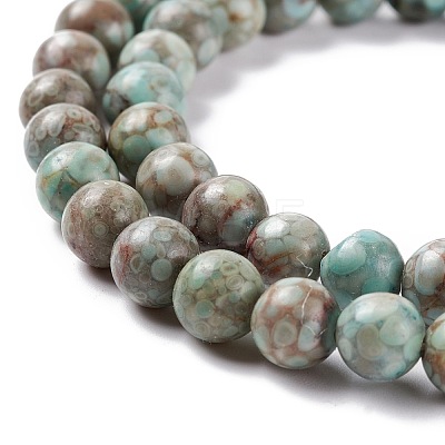 Natural Maifanite/Maifan Stone Beads Strands G-P451-01B-D-1