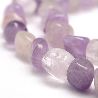 Natural Amethyst  Beads Strands G-F464-12-1