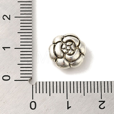 Tibetan Style Alloy Beads TIBEB-L007-06AS-02-1