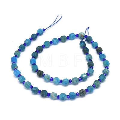 Natural Apatite Beads Strands G-O201B-04-1