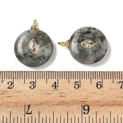 Natural Labradorite Pendants G-H328-08G-B18-1