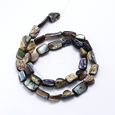 Natural Paua Shell Beads Strands SSHEL-J047-03-1