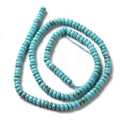 Natural Howlite Beads Strands G-C025-10B-1