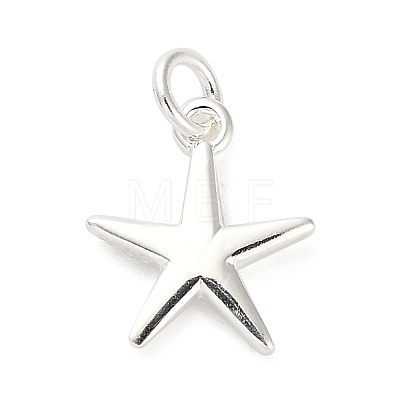 925 Sterling Silver Charms FIND-Z069-04S-A-1