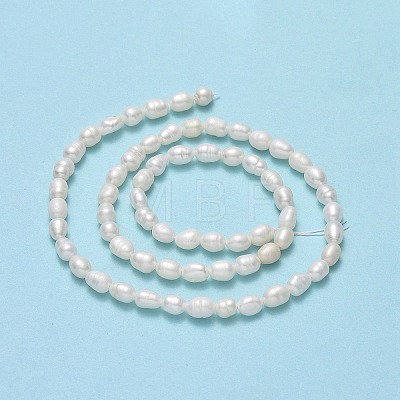 Natural Cultured Freshwater Pearl Beads Strands PEAR-J006-10D-02A-1