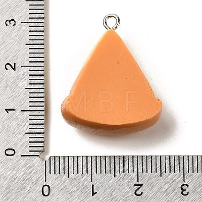 Resin Pendants RESI-A038-02F-1