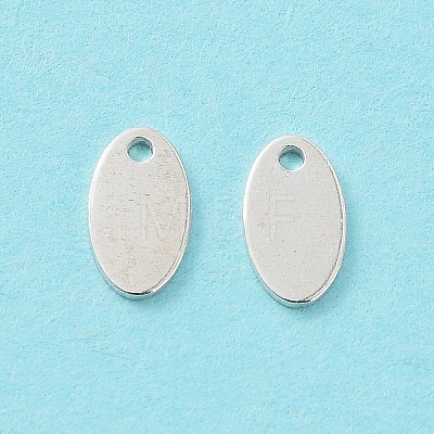 925 Sterling Silver Charms STER-F053-09S-1