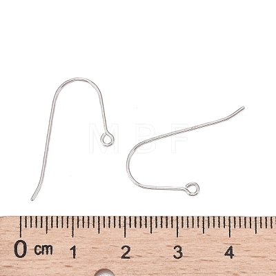 925 Sterling Silver Earring Hooks STER-I005-09P-1