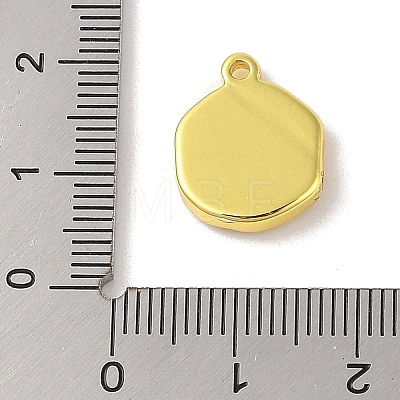 304 Stainless Steel Pendants STAS-A097-14G-1