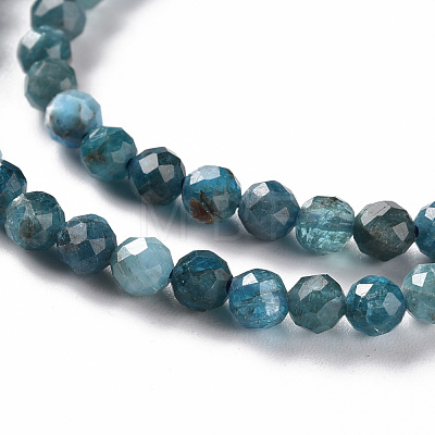 Natural Apatite Beads Strands G-S362-110C-1