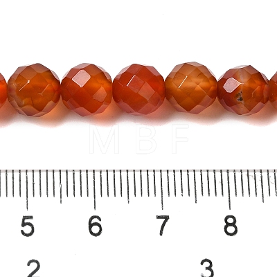 Dyed & Heated Natural Agate Beads Strands G-P539-E01-01-1