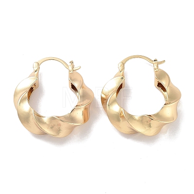 Brass Twist Rope Hoop Earrings for Women EJEW-M239-11G-1