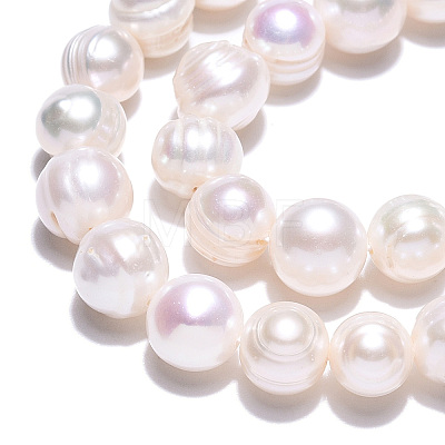 Natural Cultured Freshwater Pearl Beads Strands PEAR-S020-F11-01-1