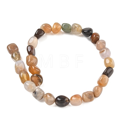 Natural Petrified Wood Beads Strands GG-CBA9392-31-1