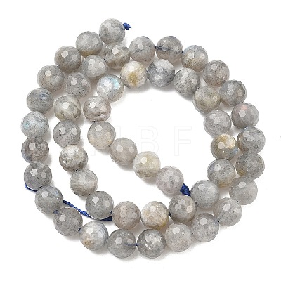 Natural Labradorite Beads Strands G-L642-F07-8mm-1