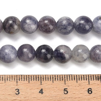 Natural Iolite Beads Strands G-G300-A04-8mm-1