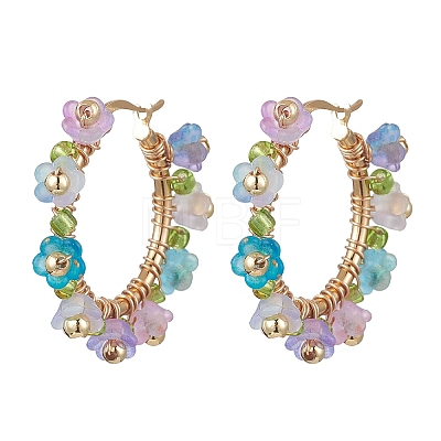 Transparent Acrylic Hoop Earrings EJEW-JE06954-1