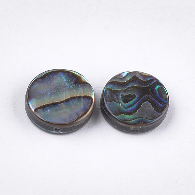 Abalone Shell/Paua Shell Beads SSHEL-T008-06A-1
