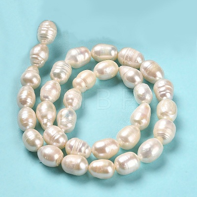 Natural Cultured Freshwater Pearl Beads Strands PEAR-E016-064-1
