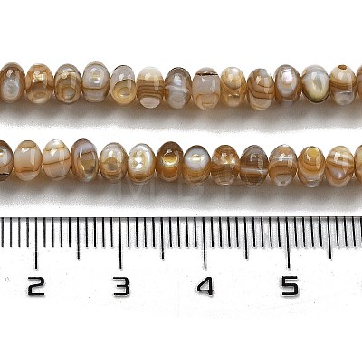 Natural Freshwater Shell Beads Strands BSHE-G038-05-1