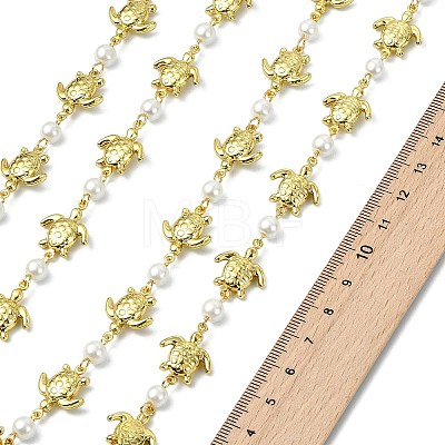 1M Handmade 304 Stainless Steel Turtle Link Chains AJEW-JB01615-02-1